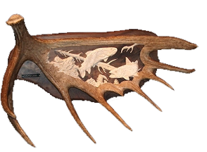 antlerhorn